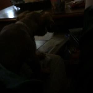 Meet your Posher, Connor